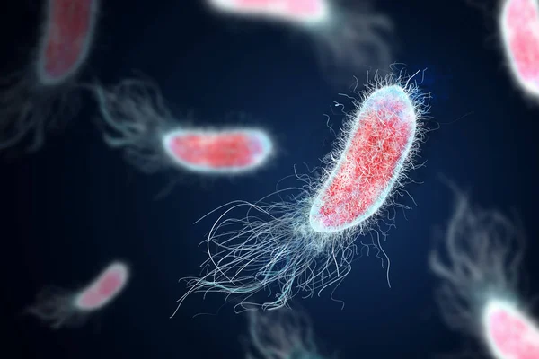 Колония Бактерий Микроскопом Иллюстрация Цистит Инфекция Мочевого Пузыря — стоковое фото