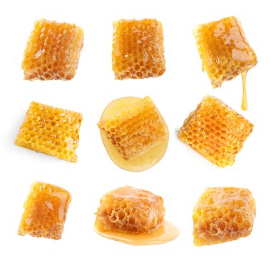 Set with fresh delicious honeycombs on white background