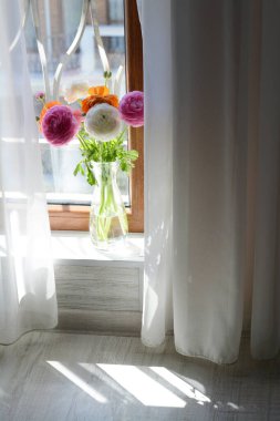 Güzel, parlak ranunculus çiçekleri, cam vazonun içinde.