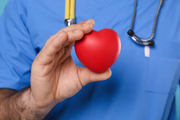 Doctor Holding Red Heart Closeup Cardiology Concept — Stock Photo, Image