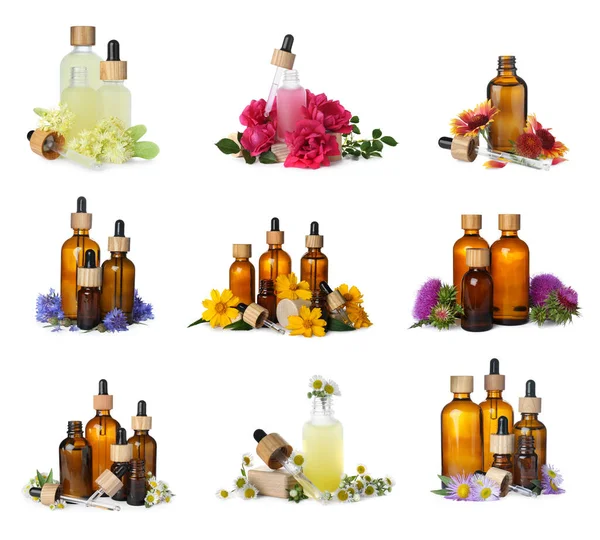Set Different Natural Essential Oils Flowers White Background — Stockfoto