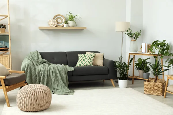 Krásný Obývací Pokoj Interiér Zelenými Domečky Pohodlným Nábytkem — Stock fotografie