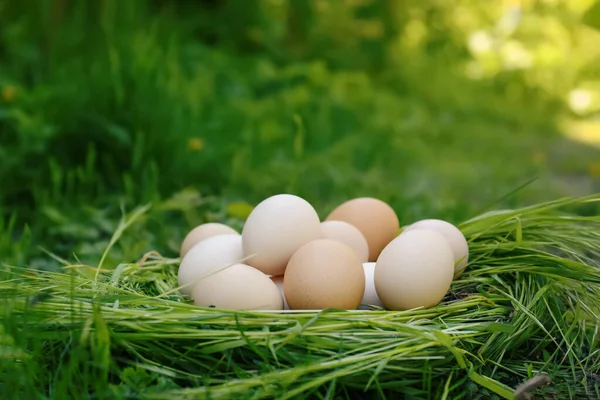 Frische Rohe Eier Nest Aus Grünem Gras Freien — Stockfoto
