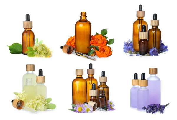 Set Different Natural Essential Oils Flowers White Background — Stok fotoğraf