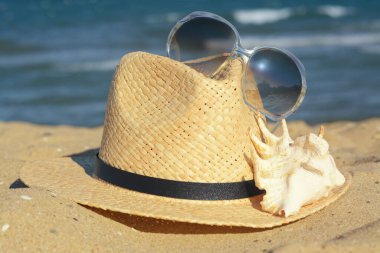 Stylish straw hat, sunglasses and sea shell on sandy beach, closeup