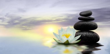 Zen, meditasyon, uyum. Güzel nilüfer çiçeği ve su yüzeyindeki taş yığını, metin için boşluk