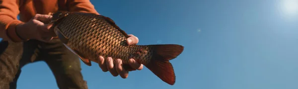 Fisherman Holding Caught Fish Blue Sky Closeup View Space Text — Stock Photo, Image