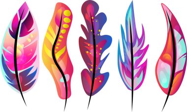Many beautiful feather on white background, illustration