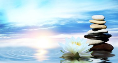 Zen, meditation, harmony. Beautiful lotus flower and stack of stones on water surface, space for text