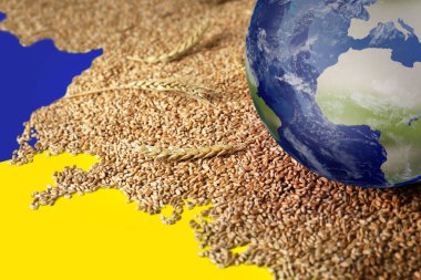 Küresel gıda krizi kavramı. Dünyanın buğday taneleri ve küresi Ukrayna bayrağı renginde masada.