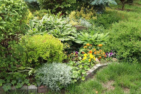 Beau Parterre Fleurs Avec Différentes Plantes Extérieur Jardinage Aménagement Paysager — Photo