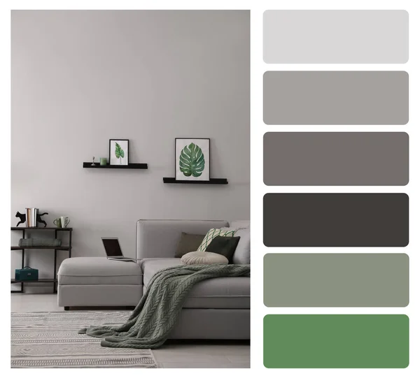 Color Palette Photo Stylish Living Room Interior Collage — 스톡 사진