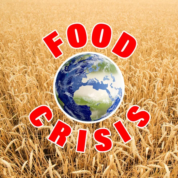 Global Food Crisis Concept Wheat Field Illustration Earth — Stockfoto