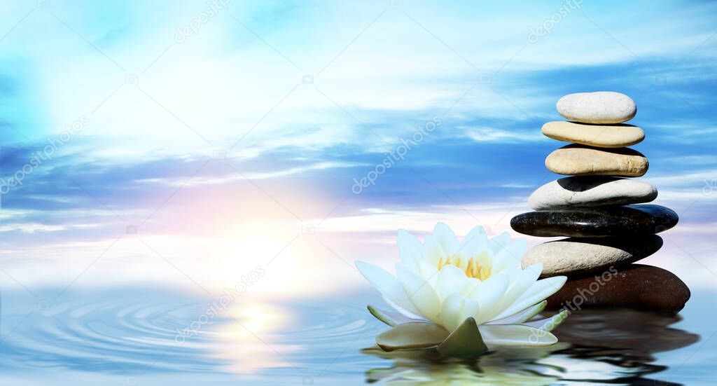 Zen, meditation, harmony. Beautiful lotus flower and stack of stones on water surface, space for text