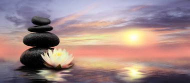 Zen, meditasyon, uyum. Güzel nilüfer çiçeği ve su yüzeyindeki taş yığını, metin için boşluk