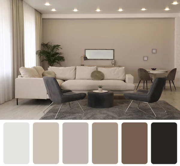 Color Palette Photo Stylish Living Room Interior Collage — 스톡 사진