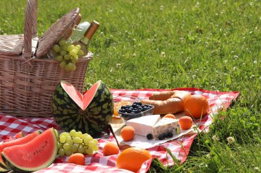 Piknik battaniyesi ve yaz günü dışarıda lezzetli yemekler ve şarap.