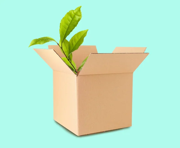 Cardboard Box Green Leaves Cyan Background Eco Friendly Lifestyle — Fotografia de Stock