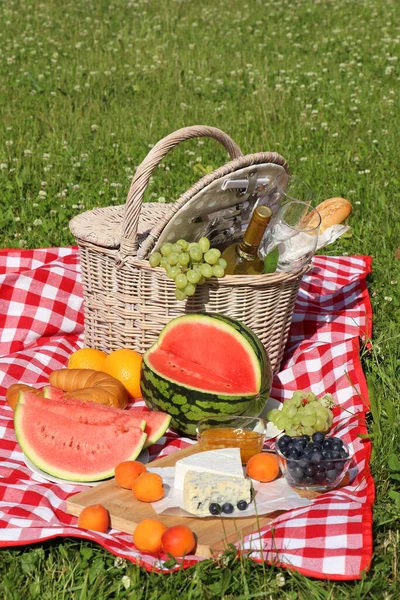 Manta Picnic Con Deliciosa Comida Vino Aire Libre Día Verano — Foto de Stock