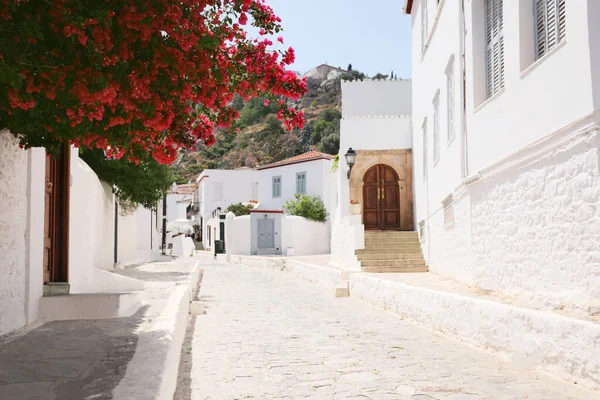 City Street White Building Beautiful Blooming Tree Sunny Day — Stock Photo, Image