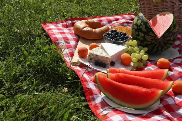 Picnic Blanket Delicious Food Outdoors Sunny Day Space Text — Stock Photo, Image