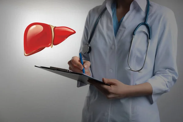 Doctor with clipboard and illustration of healthy liver on light grey background, closeup