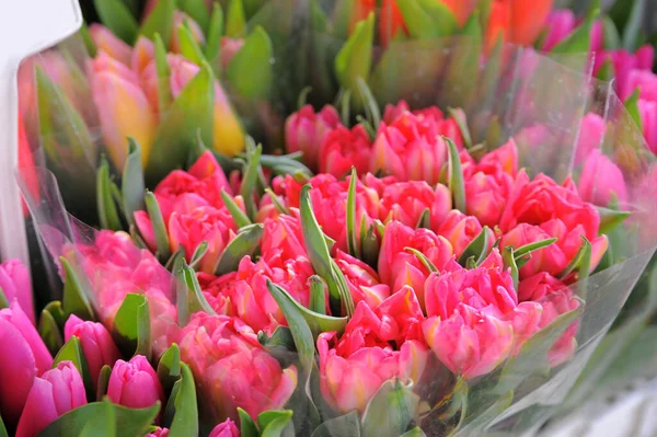 Assortiment Fleurs Tulipes Lumineuses Boutique Gros Plan Décor Floral — Photo