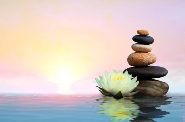 Zen, meditasyon, uyum. Güzel nilüfer çiçeği ve su yüzeyindeki taş yığını, metin için boşluk