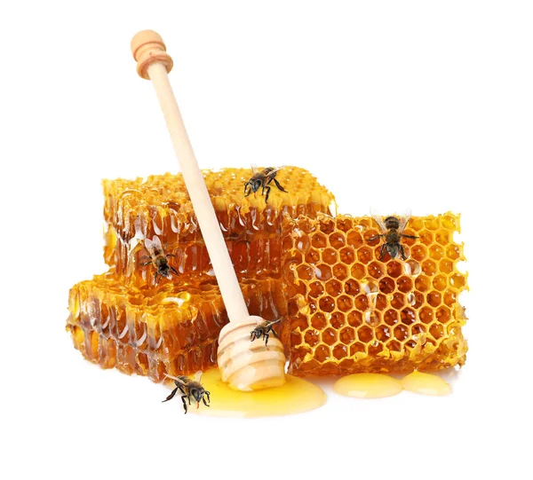 Fresh Honeycombs Bees Dipper White Background — Stock Fotó