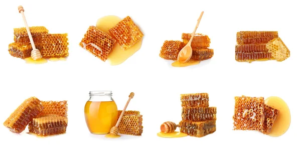 Set Fresh Delicious Honeycombs White Background — Zdjęcie stockowe