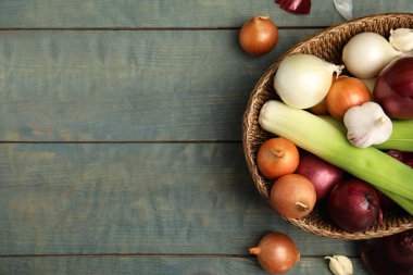 Açık mavi ahşap masa üzerinde taze soğan soğanları, pırasalar ve sarımsaklı hasır sepet, düz yatak. Metin için boşluk