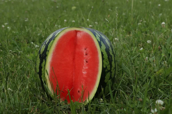 Delicious Cut Watermelon Fresh Green Grass Outdoors — Stock Photo, Image