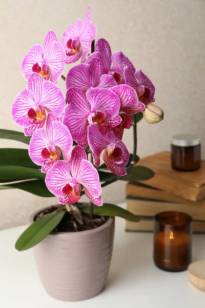 Beautiful Blooming Orchid Books Burning Candle White Table — Foto Stock