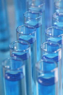 Açık mavi reaktörlü test tüpleri, yakın çekim. Laboratuvar analizi