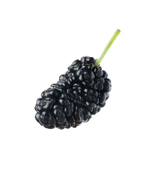 One Ripe Black Mulberry White Background —  Fotos de Stock