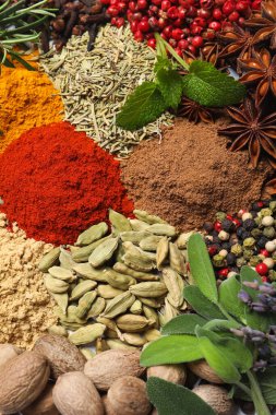 Arka plan olarak aromatik baharatlı farklı taze otlar, üst görünüm