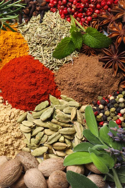 Different Fresh Herbs Aromatic Spices Background Top View — 스톡 사진