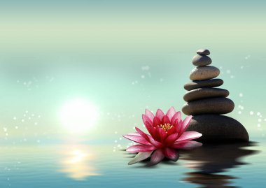 Zen, meditation, harmony. Beautiful lotus flower and stack of stones on water surface, space for text