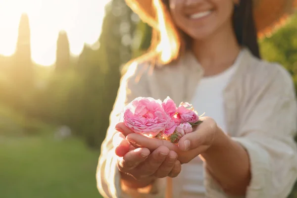 Kobieta Trzyma Piękne Róże Herbaty Zewnątrz Zbliżenie Miejsce Tekst — Zdjęcie stockowe
