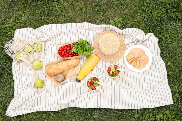 Picnic Blanket Juice Food Green Grass Top View — Stockfoto