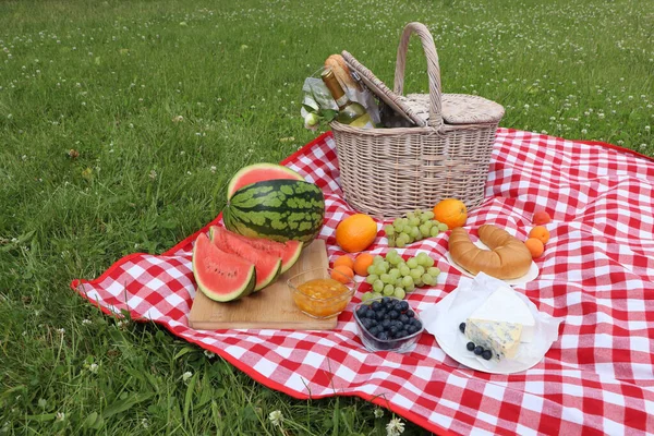 Picnic Blanket Delicious Food Wine Outdoors Summer Day — Foto Stock