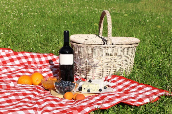 Piknik Battaniyesi Yaz Günü Dışarıda Lezzetli Yemekler Şarap — Stok fotoğraf