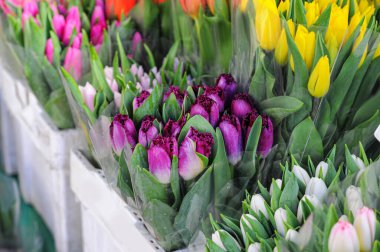 Güneşli bir günde, açık hava dükkanında çeşitli güzel çiçekler.