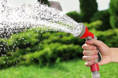 Man spraying water from hose in garden, closeup