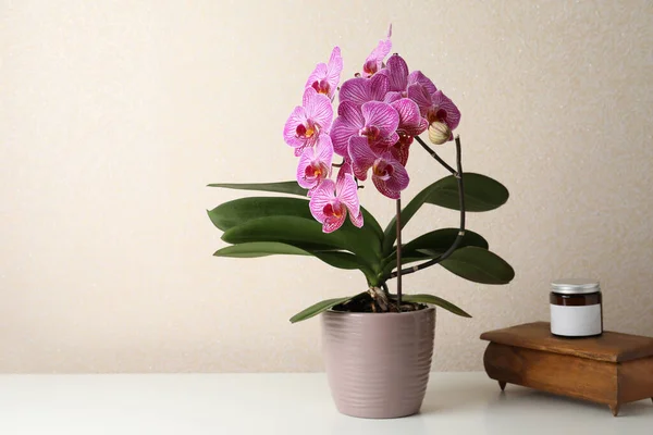 Schöne Blühende Orchidee Glas Und Alte Hölzerne Schmuckschatulle Auf Weißem — Stockfoto