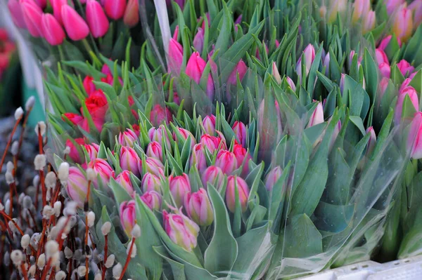 Асортимент Красивих Квітів Магазині Сонячний День — стокове фото