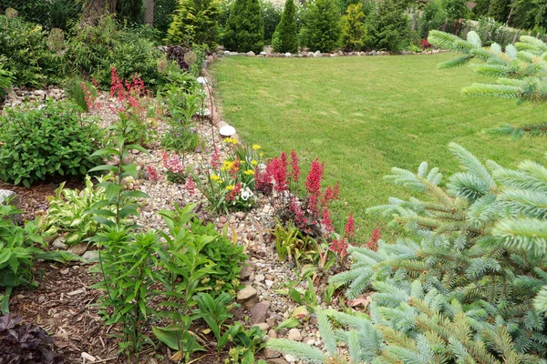 Wunderschönes Blumenbeet Mit Verschiedenen Pflanzen Freien Garten Und Landschaftsbau — Stockfoto