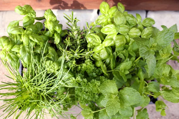 Different Aromatic Herbs Crate Outdoors Top View — Stock fotografie