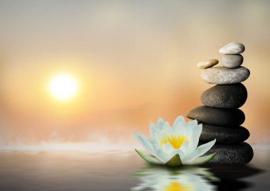Zen, meditasyon, uyum. Güzel nilüfer çiçeği ve su yüzeyindeki taş yığını, metin için boşluk