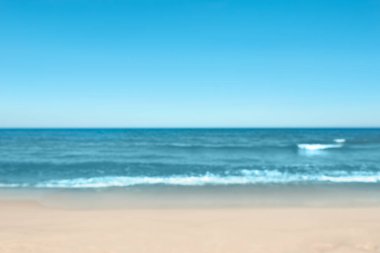 Güneşli bir günde bulanık deniz ve kumlu plaj manzarası